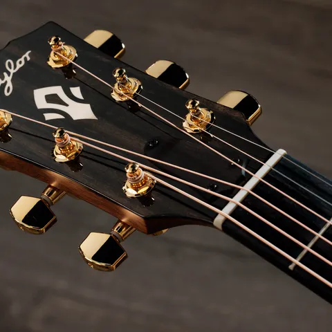 2024年の新アコースティックギター | Taylor Guitars